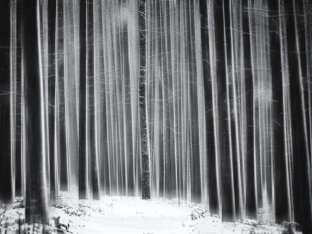 Photograph by Андрей Баскевич