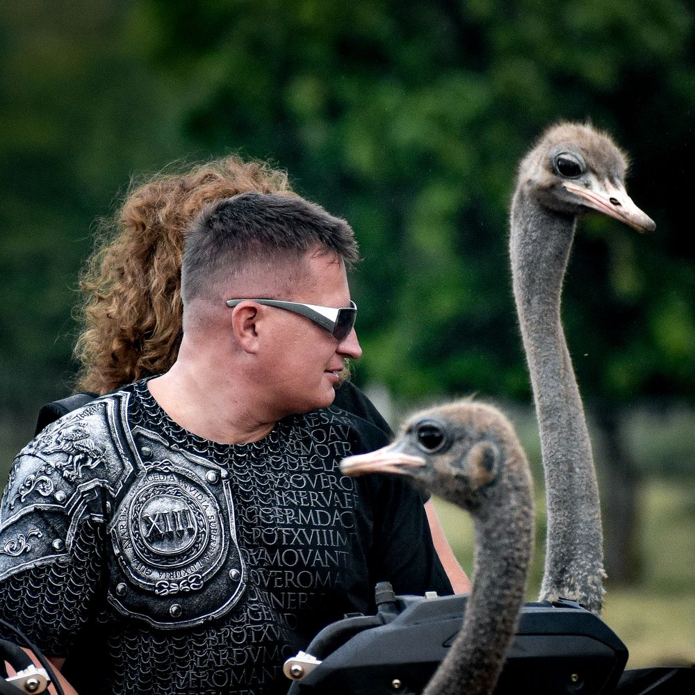 Photograph by Наталья Кокорина