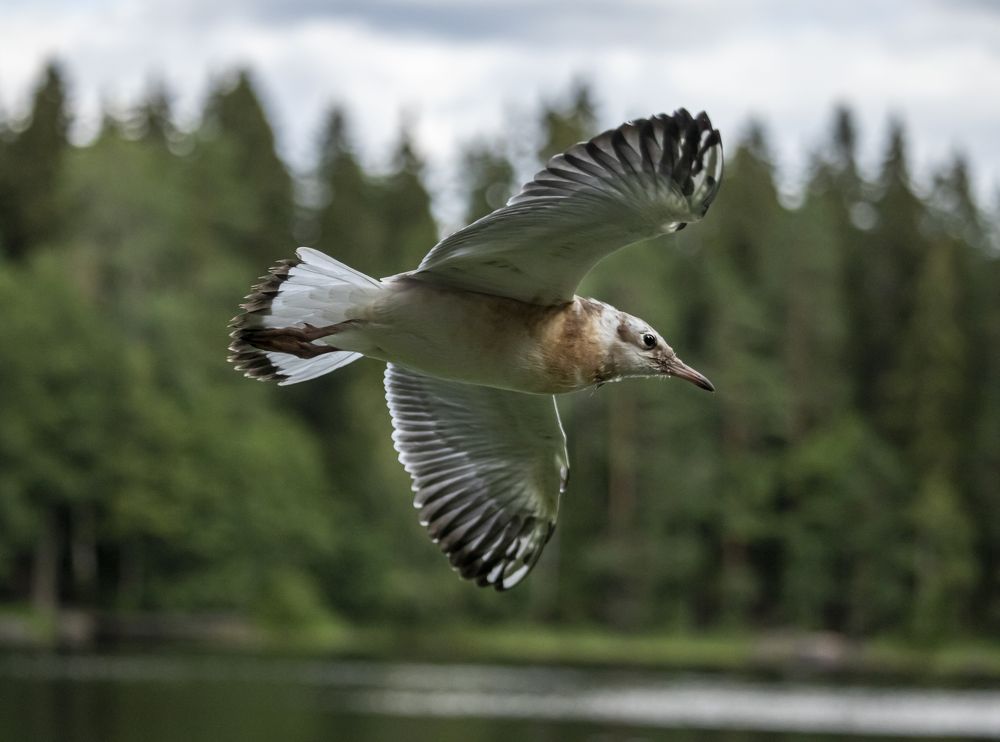 Photograph by Юлия Куликова