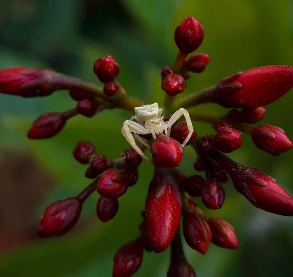 Photograph by Dhaval Solanki