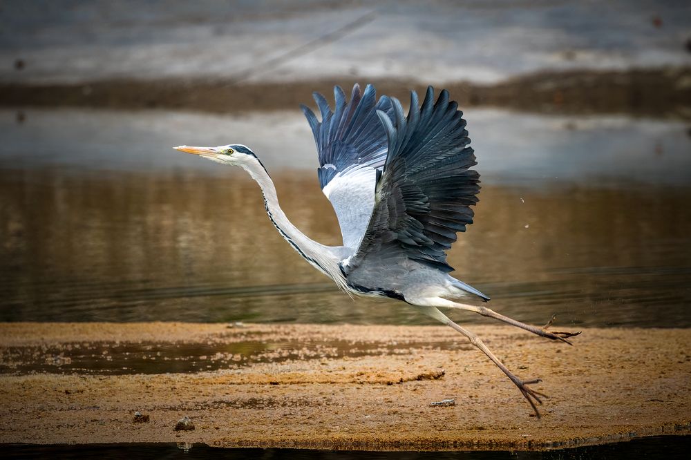 Photograph by Abbas Kalantar