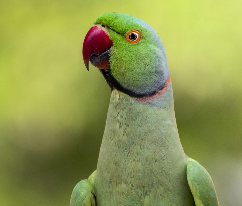 Photograph by Dhaval Solanki