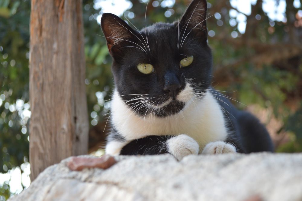 Photograph by Анастасия