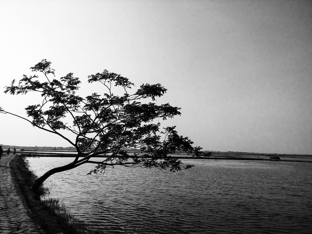 Beautyful Bangla