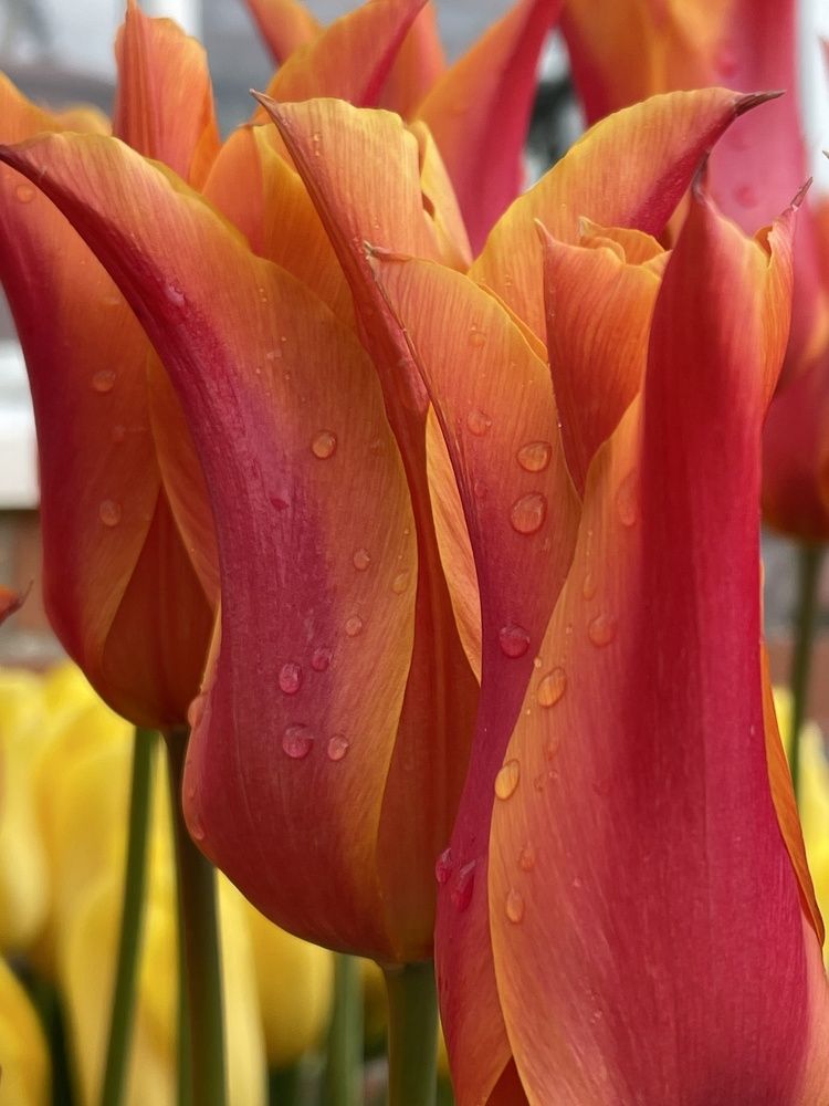 Photograph by Irina Zoteeva