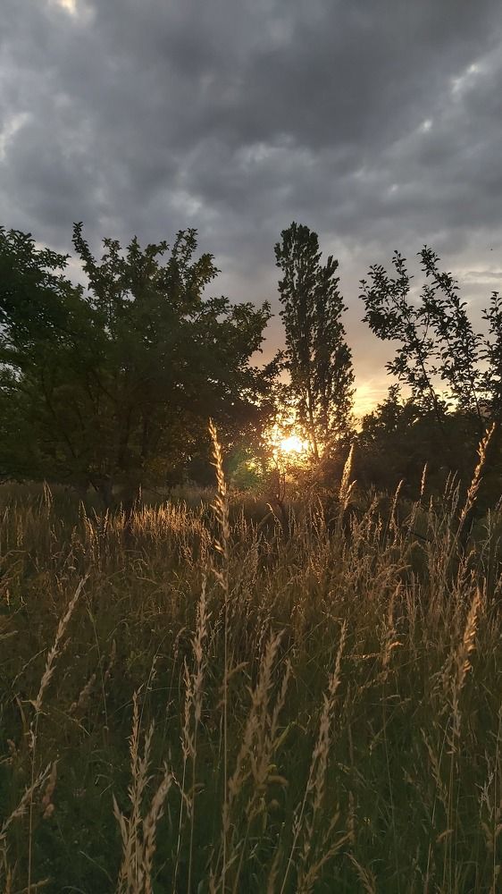 Photograph by Жасмина Салихова