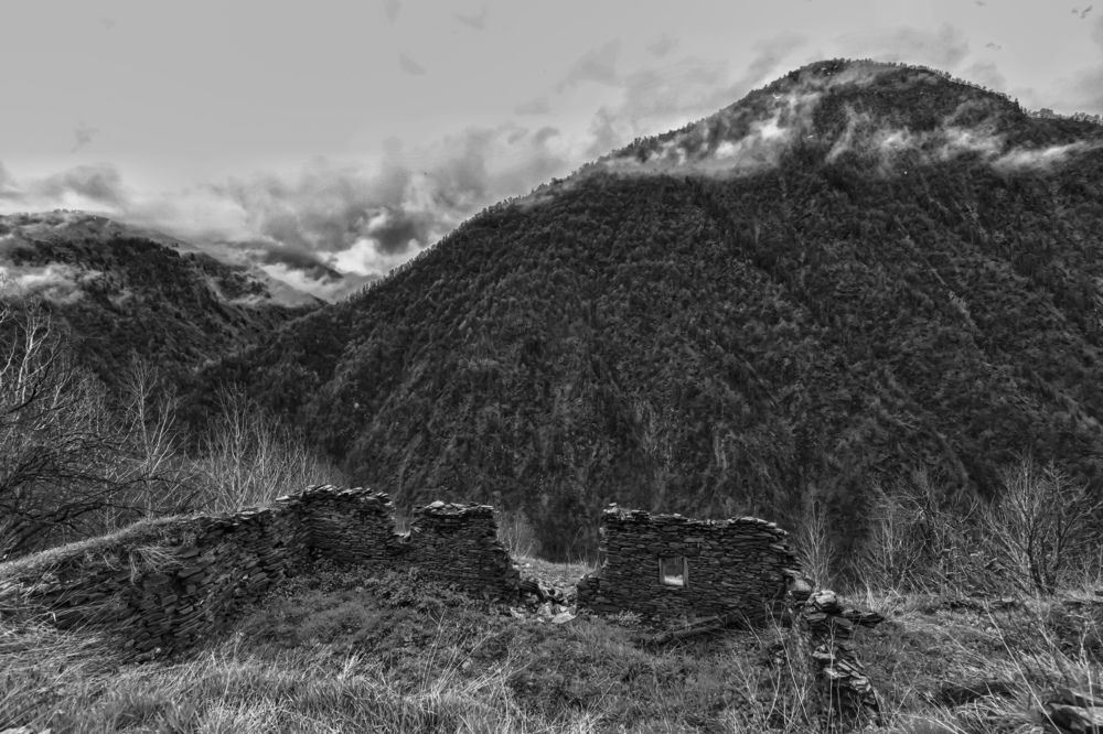 Photograph by Ронжин Дмитрий