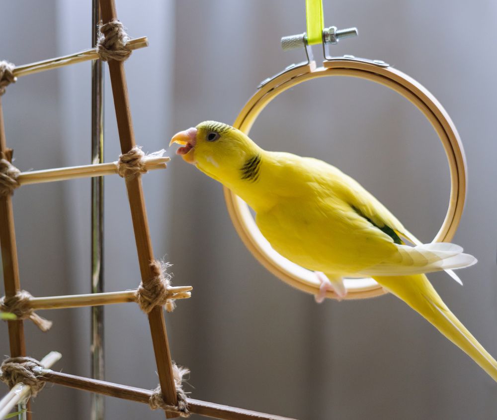 Photograph by Мария Данилкина