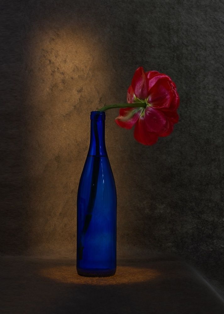 Фотография автора Черновол Валентин