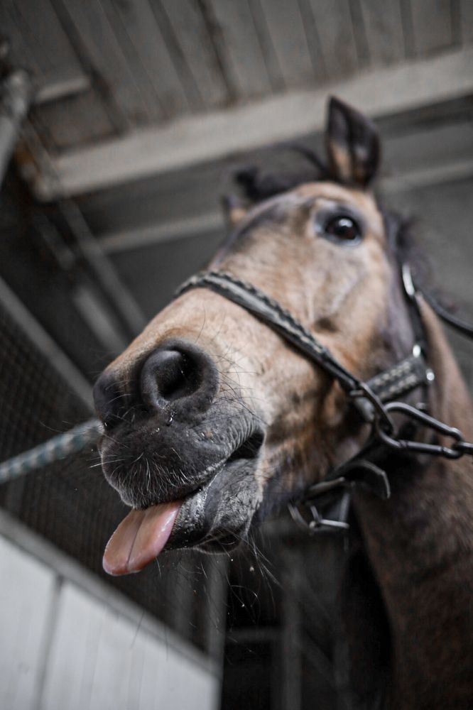 Photograph by Кристина Заря