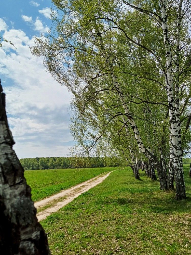 Photograph by Александр Alexander Zheleztsov