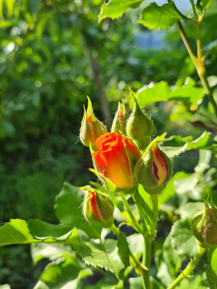 Photograph by Жасмина Салихова