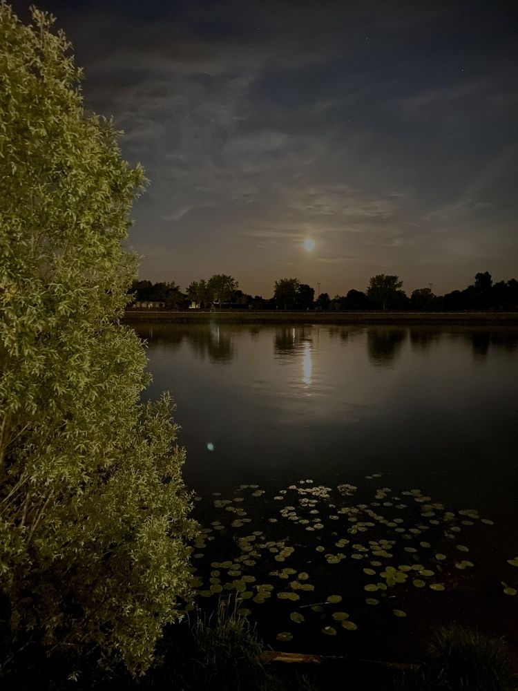 Photograph by Евгения Смирнова