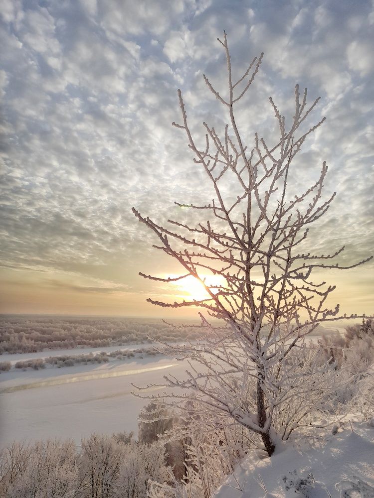 Фотография автора Тамара Караваева