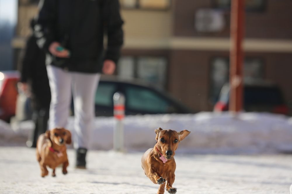 Photograph by Олег Раков