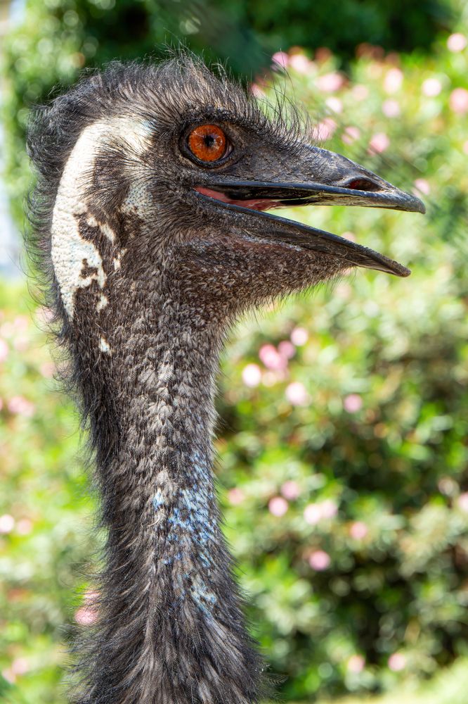 Photograph by Юрий Карпенко