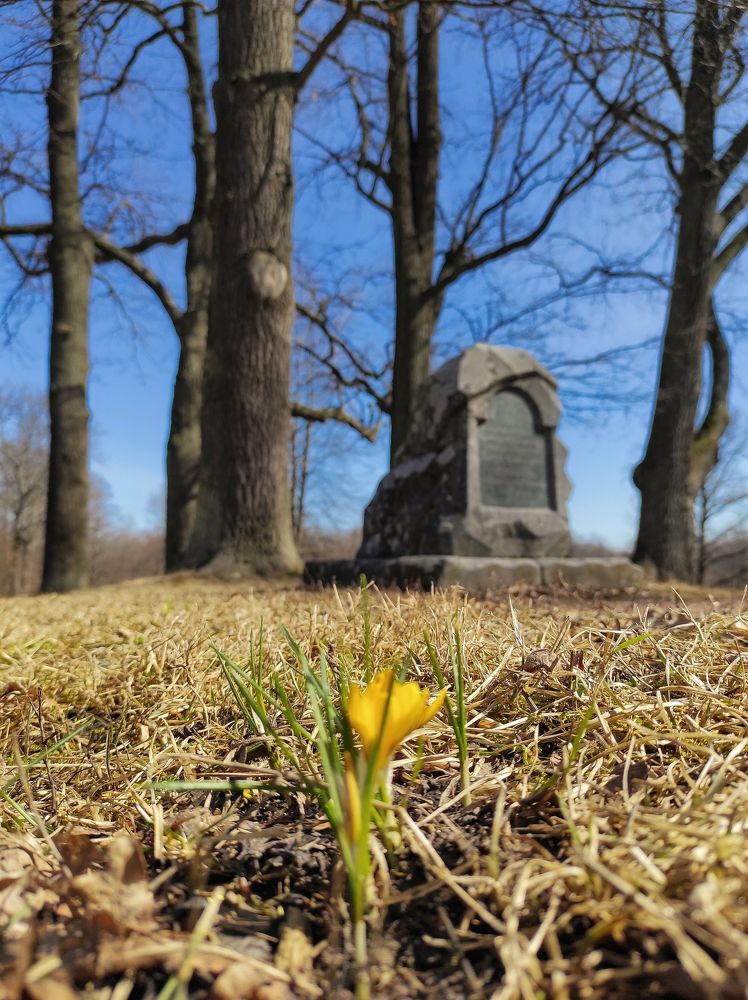 Photograph by Вячеслав Щёголев