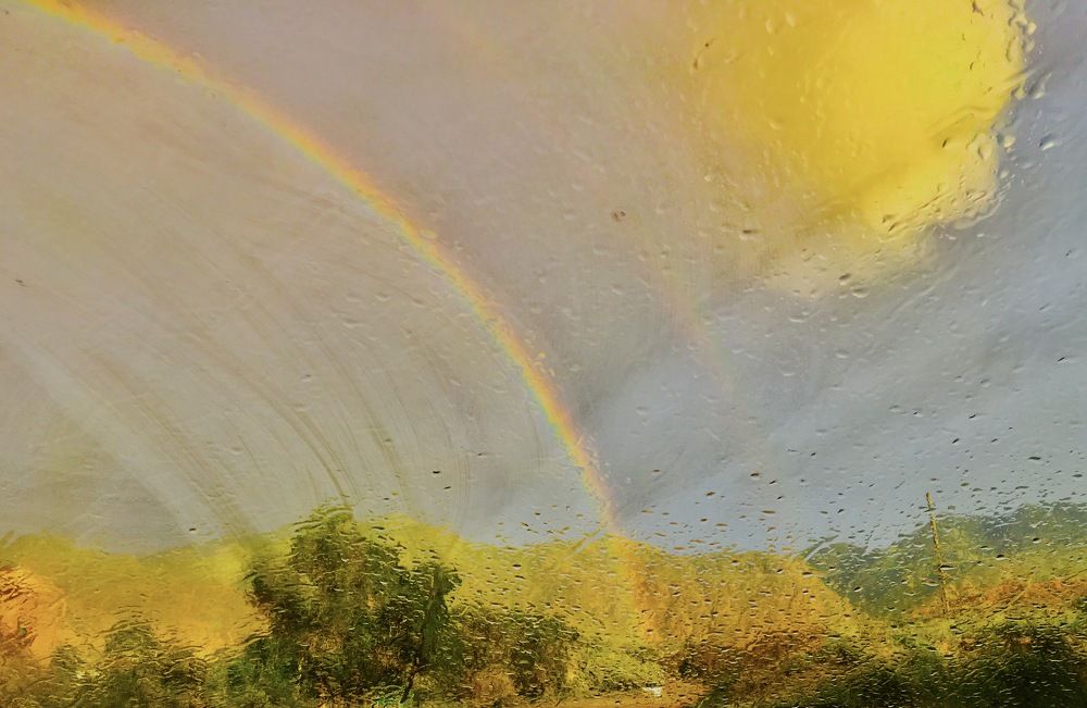 Photograph by Елена Ким