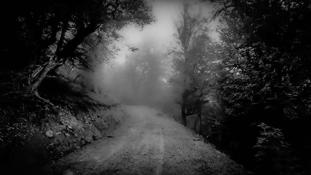 Foggy Road