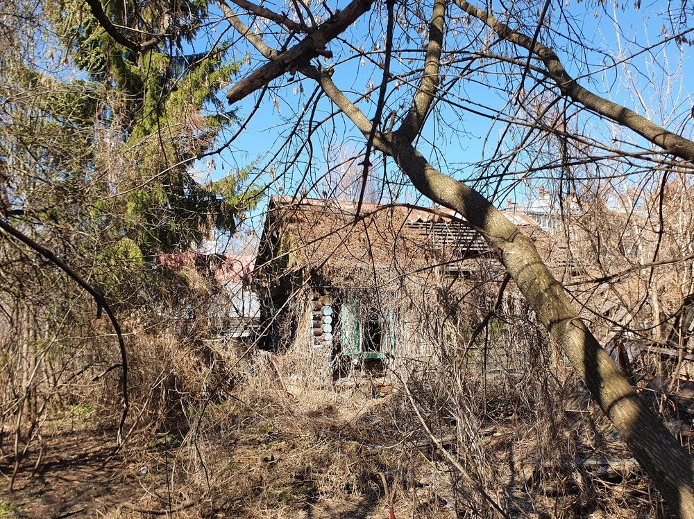 Photograph by Айгуль Кубиева