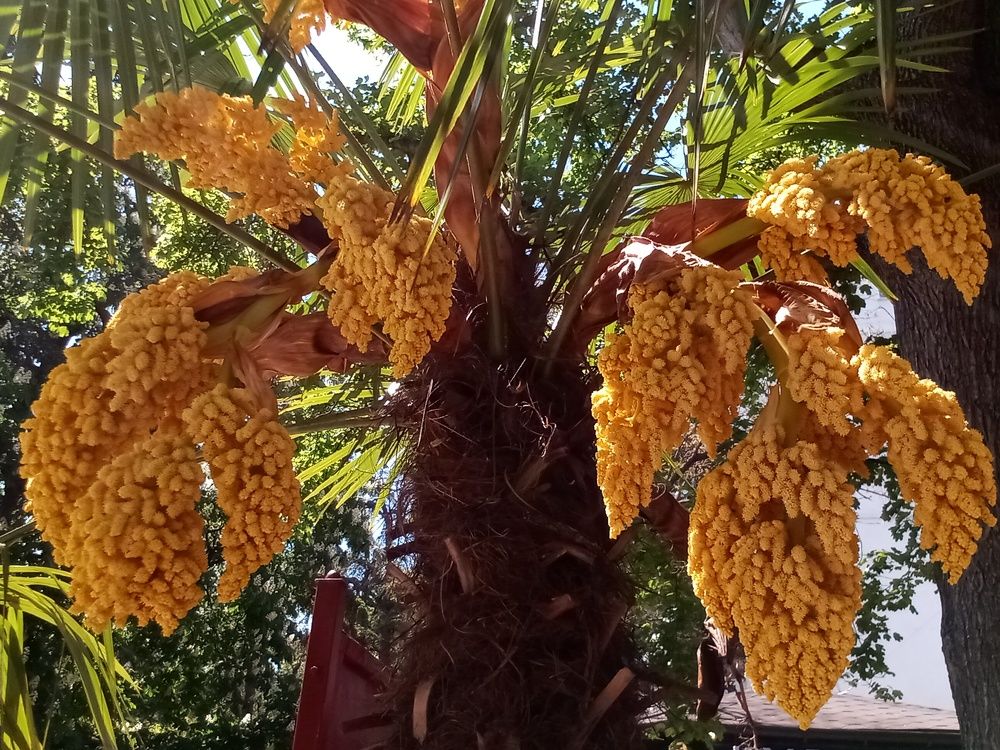 Photograph by Лилия Потравнова