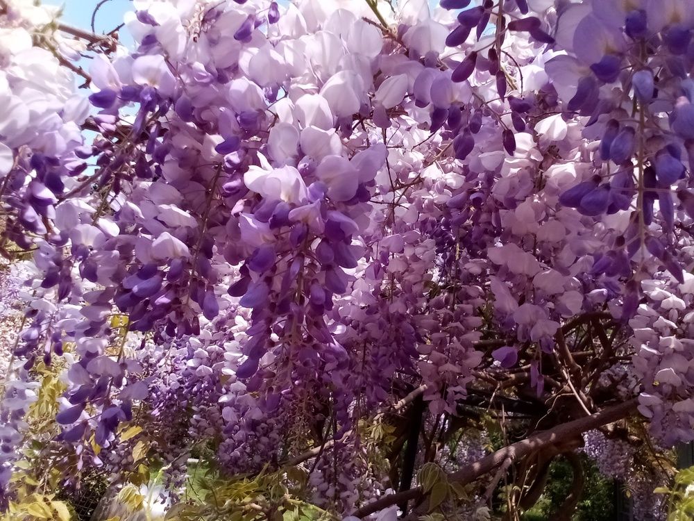 Photograph by Лилия Потравнова