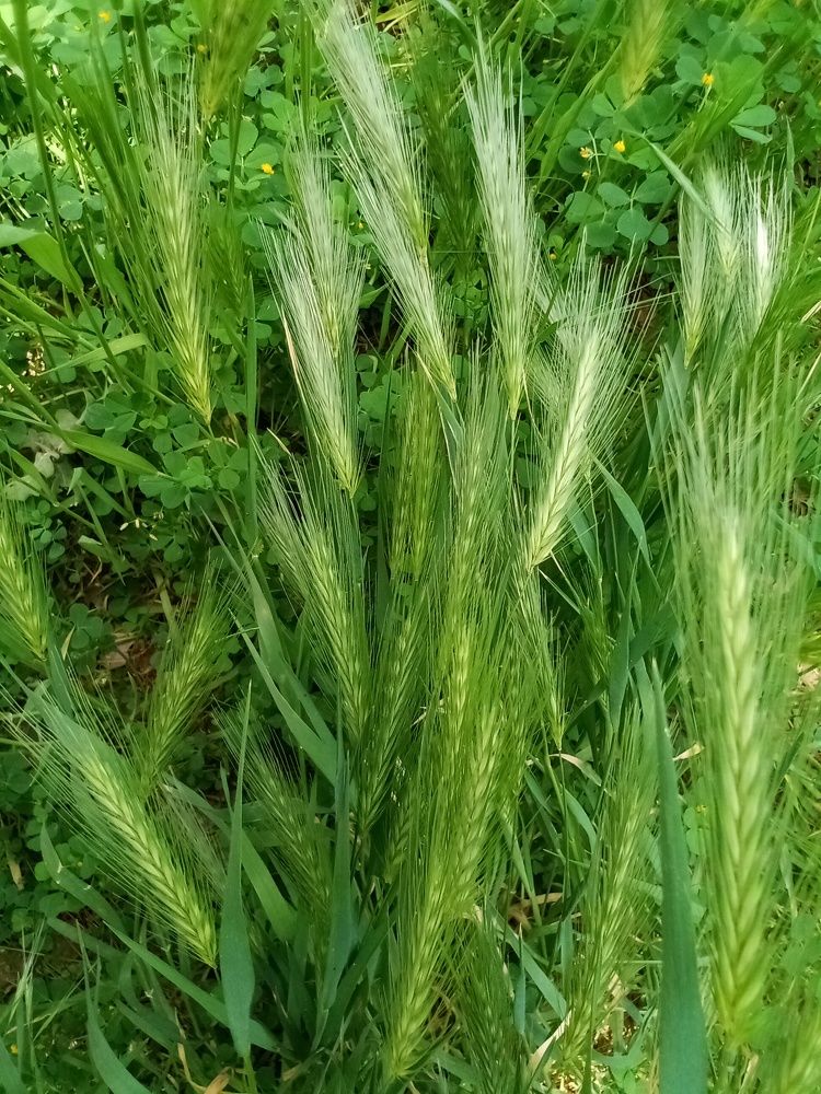 Photograph by Лилия Потравнова