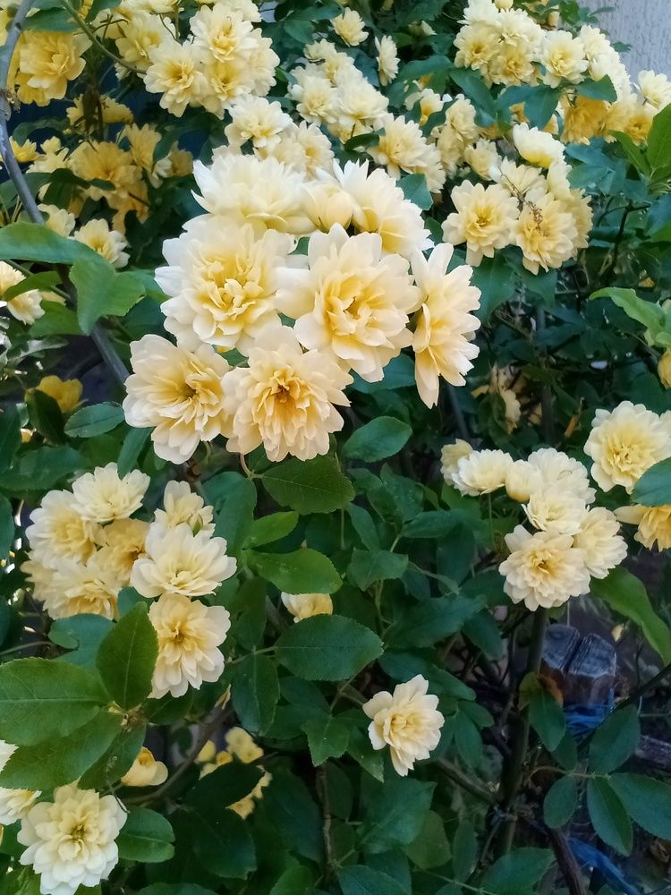 Photograph by Лилия Потравнова