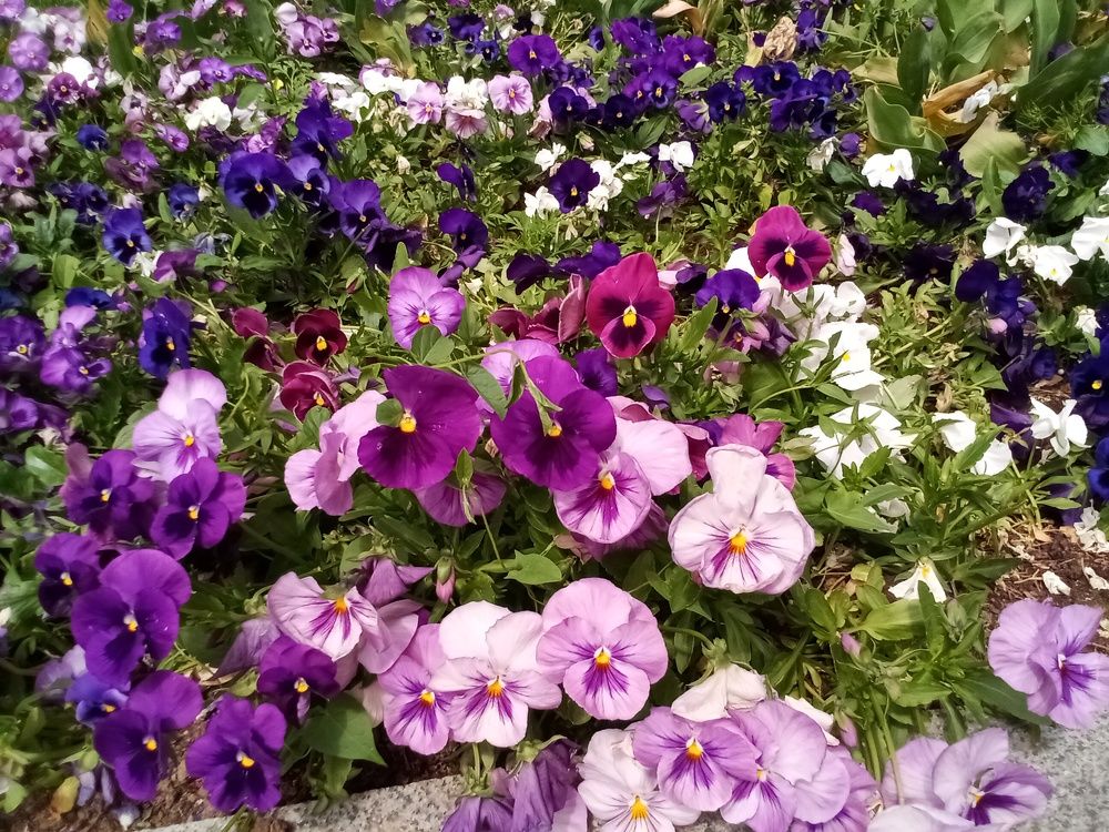 Photograph by Лилия Потравнова