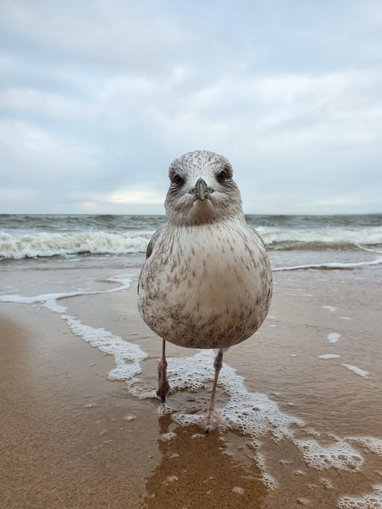 Photograph by Айгуль Кубиева