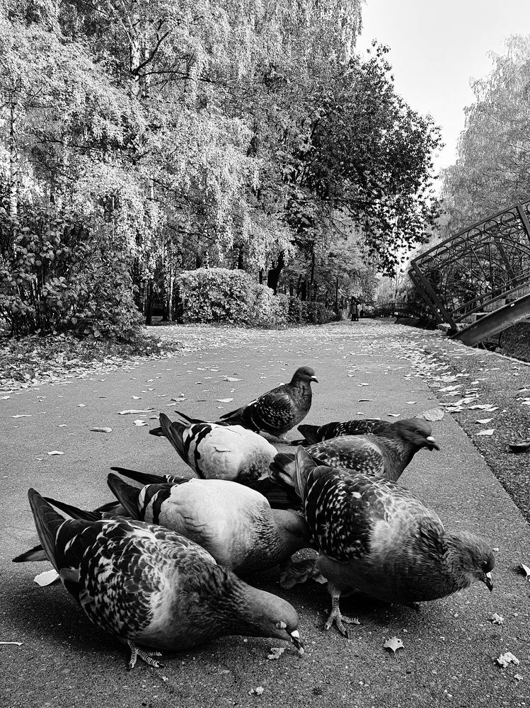 Photograph by Айгуль Кубиева