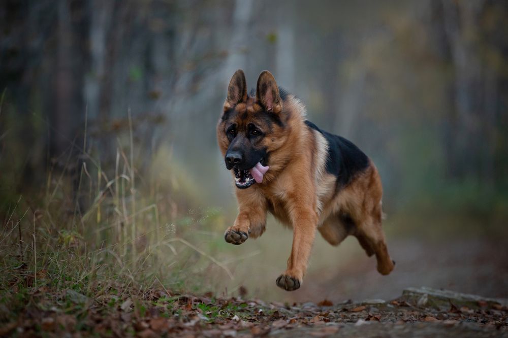 Photograph by Анастасия Чернявская