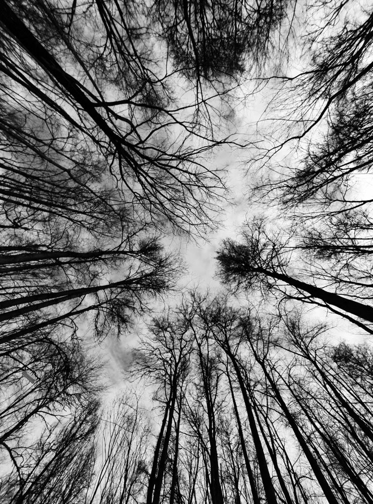 Photograph by Айгуль Кубиева