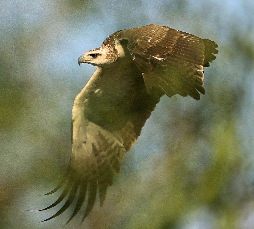 Photograph by Jacques Nel