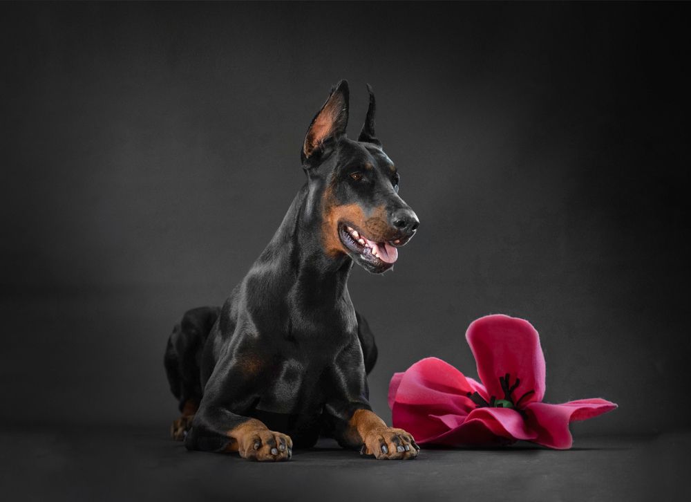 Photograph by Дина Колдомова