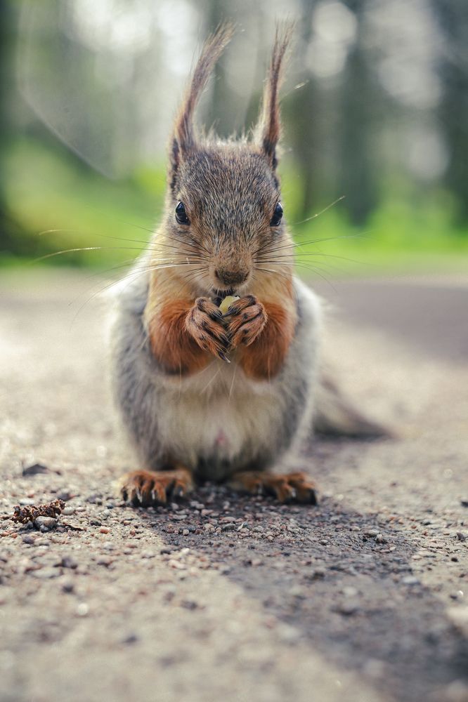 Photograph by Сергей Недогадов