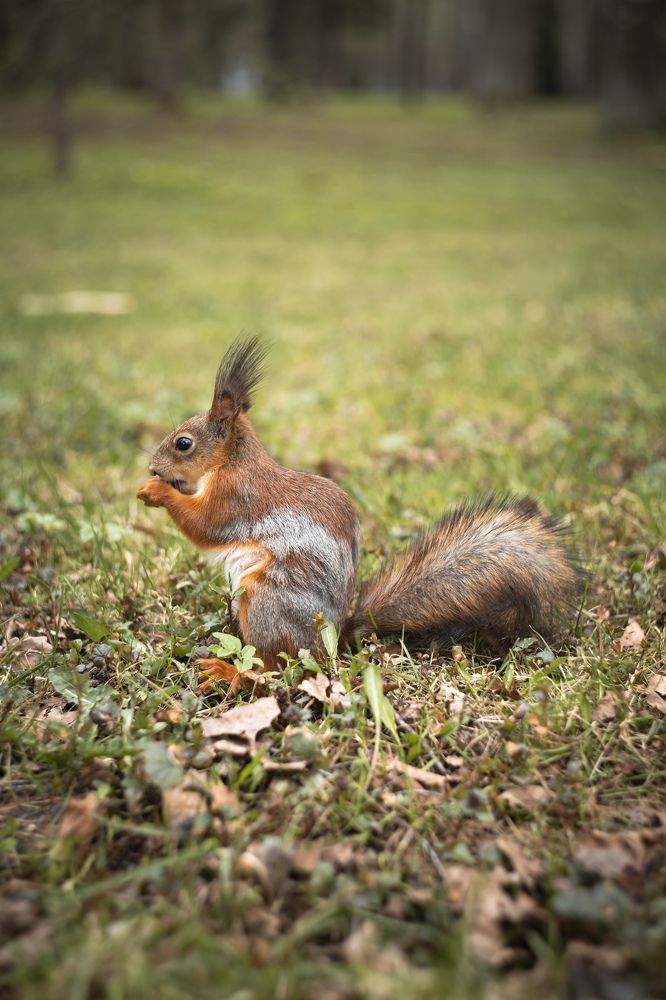 Photograph by Сергей Недогадов