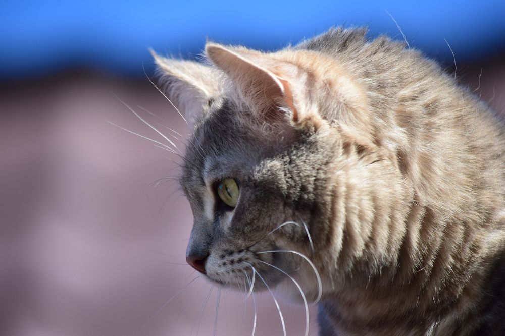 Photograph by Лариса Стрекулева