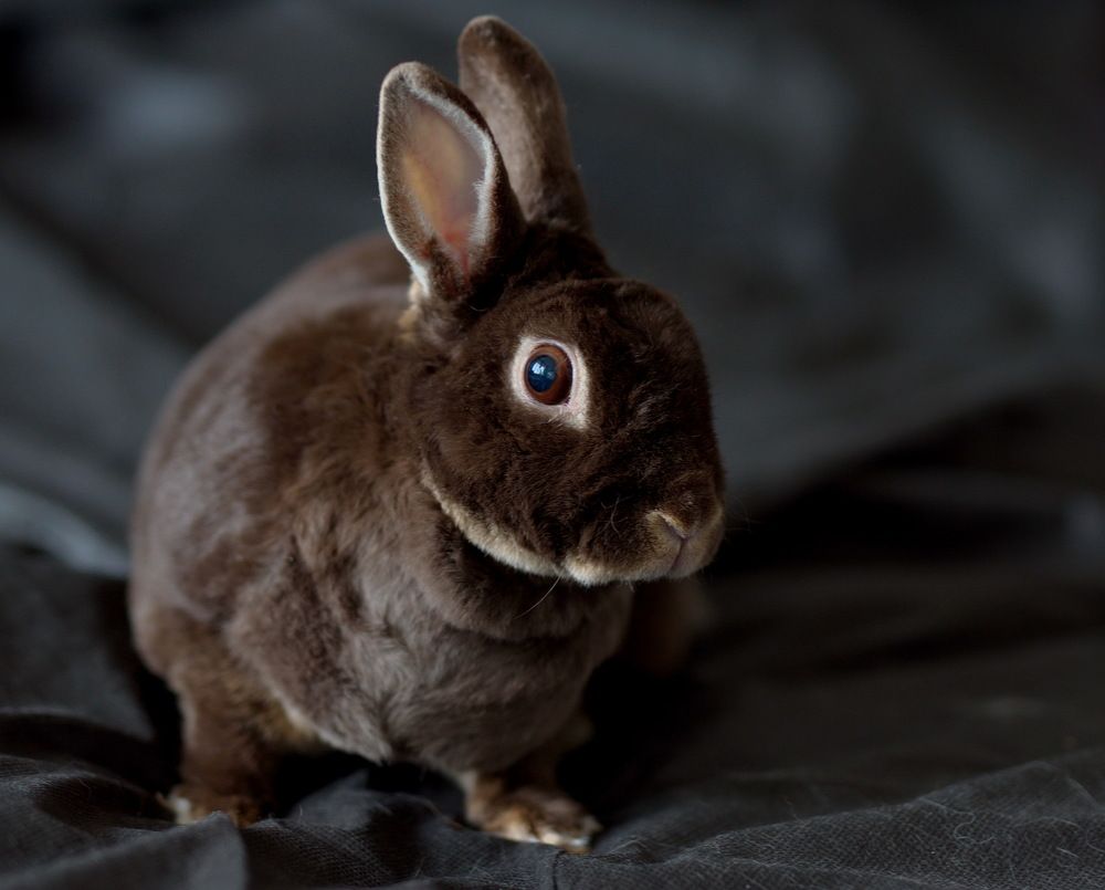 Photograph by Лидия Ушакова