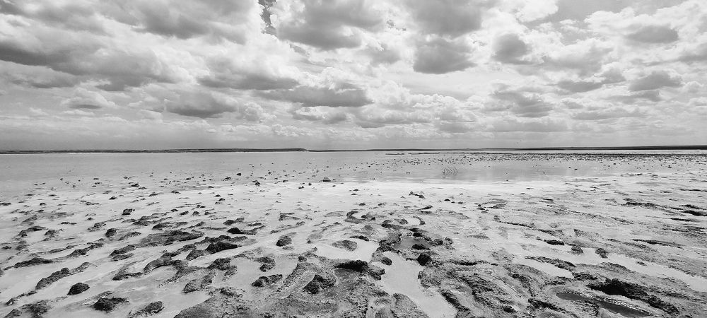 Photograph by Александр Жигульский