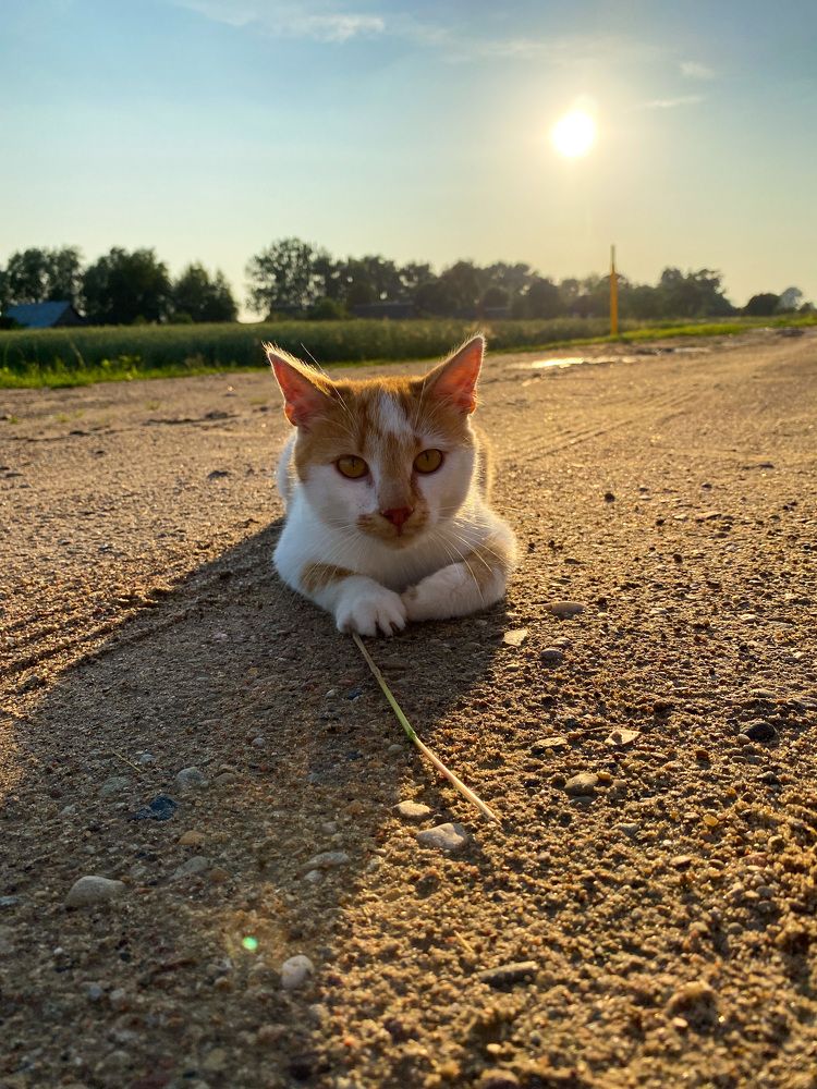 Photograph by Alexey Nuzha