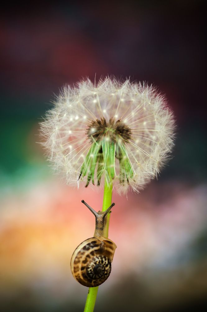 Photograph by Julia Yerdelen