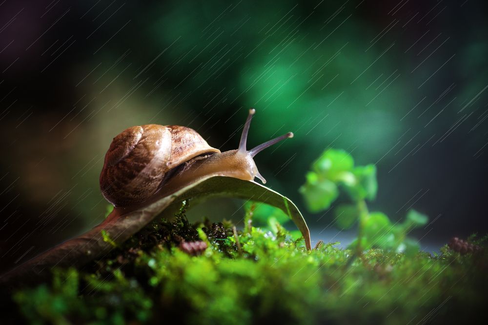 Photograph by Julia Yerdelen