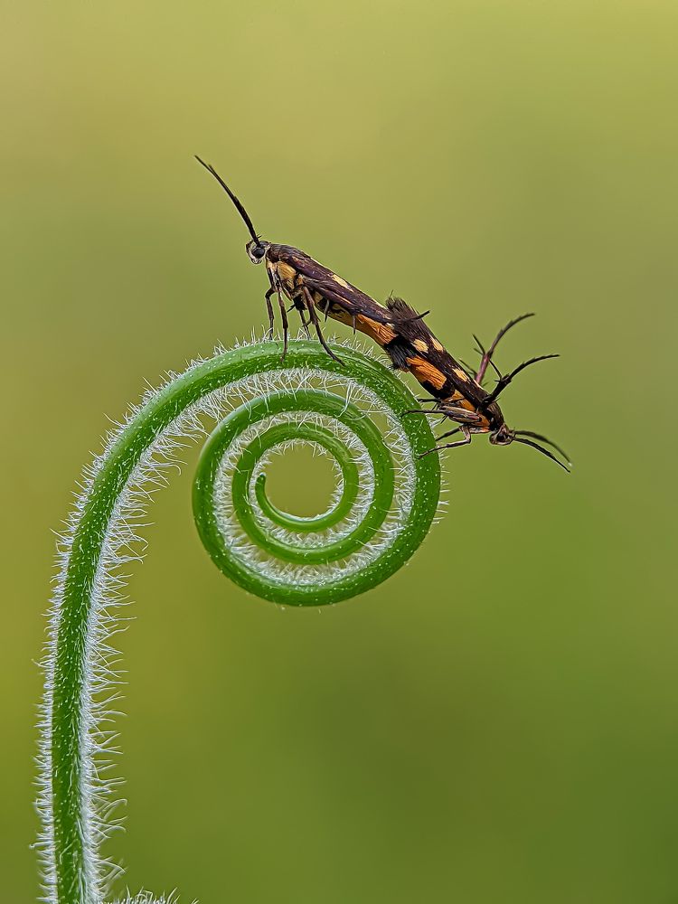 Фотография автора ISLAM SK RIYAJUL