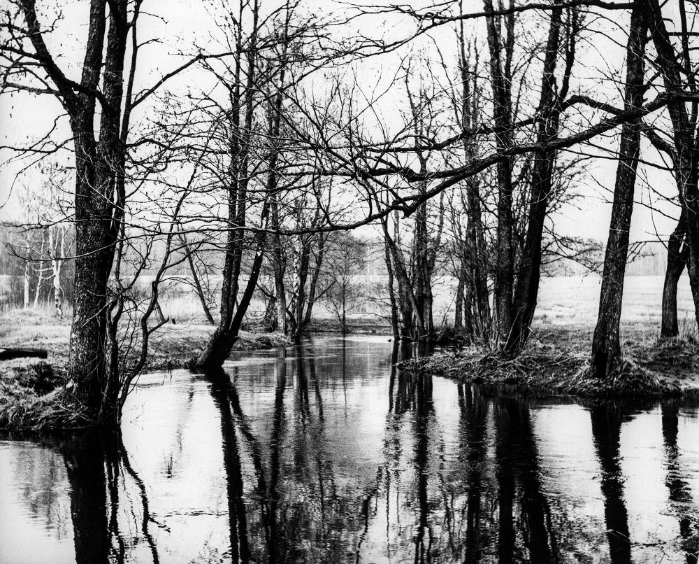 Фотография автора Михаил Пшеннов