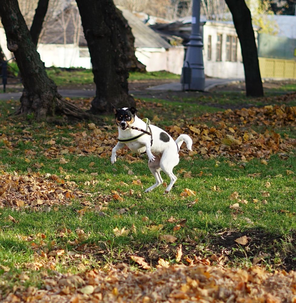 Photograph by Эвелина Моисеева