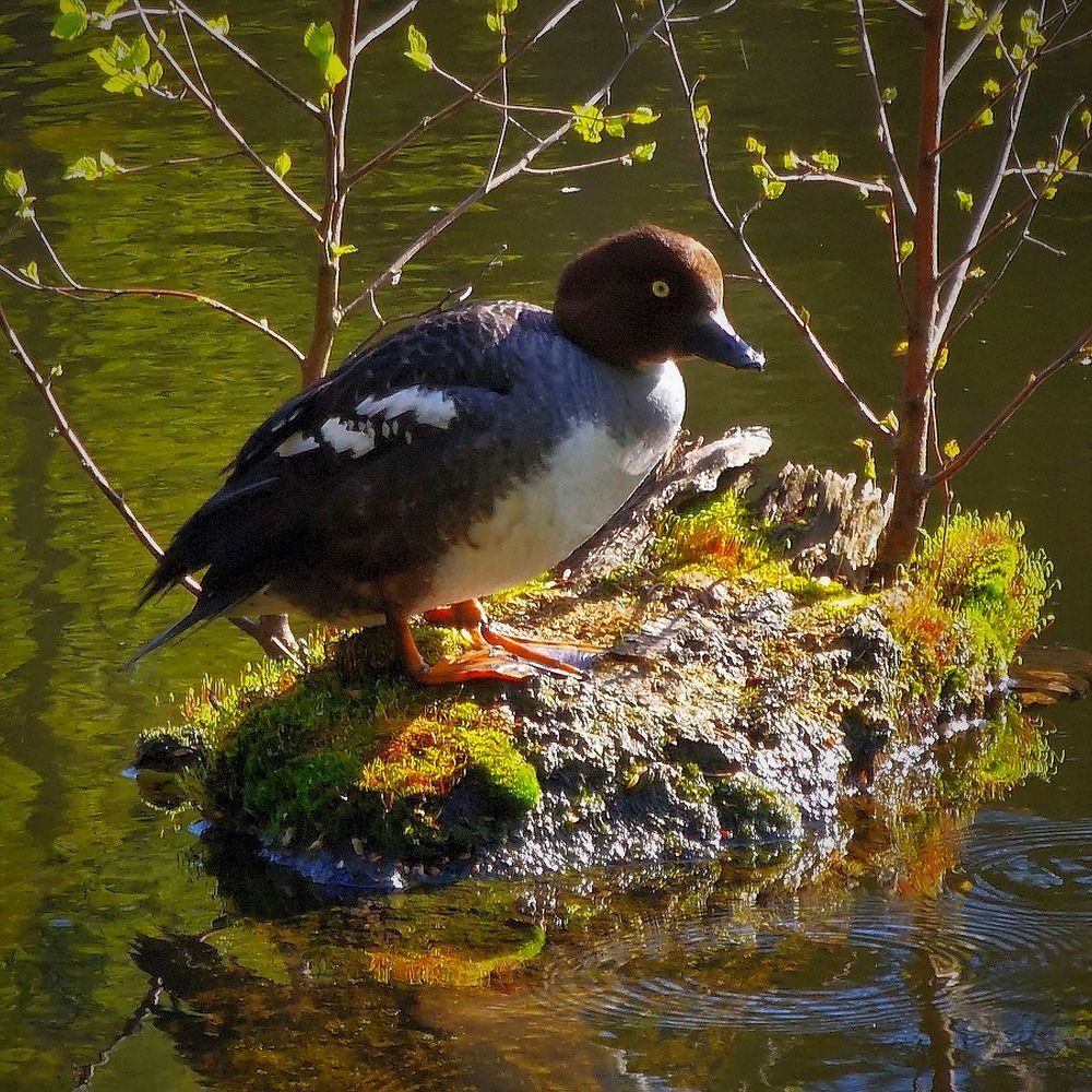 Photograph by Epp Tappel