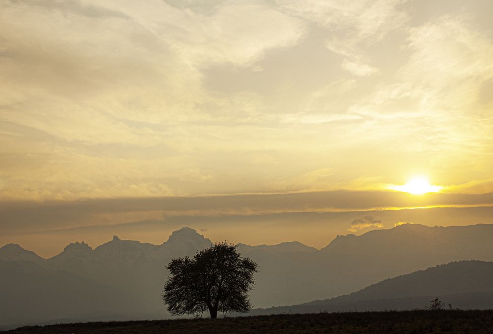 Фотография автора Михаил Пшеннов
