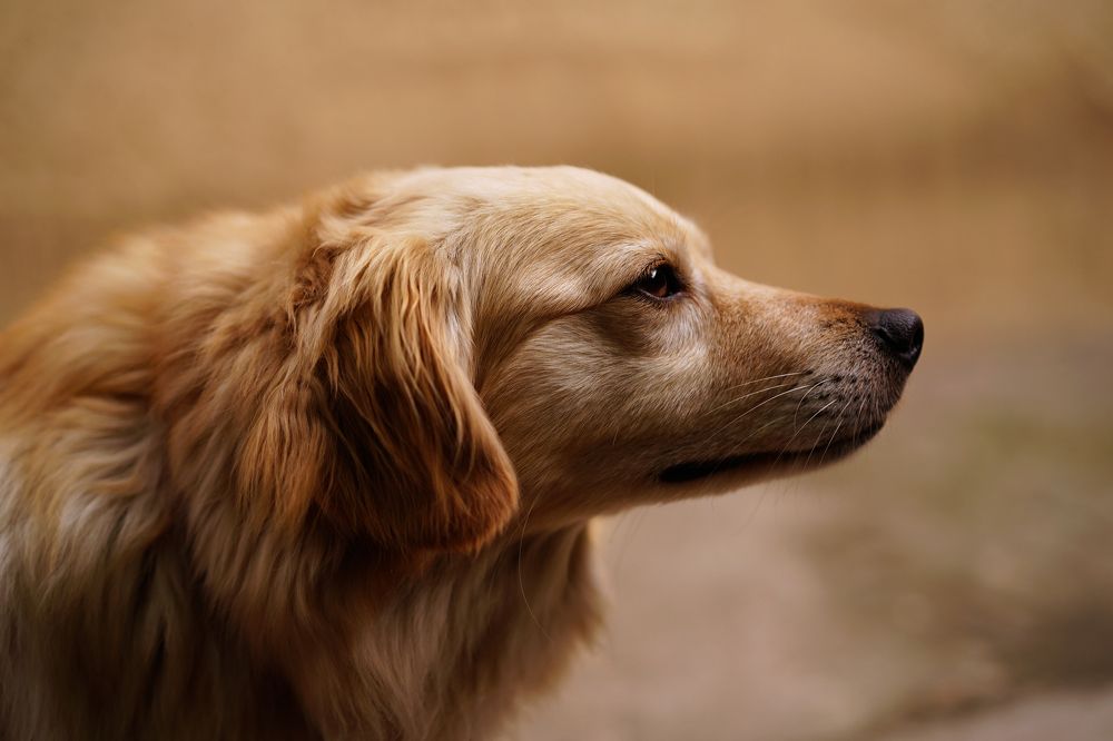 Photograph by Татьяна Цолина