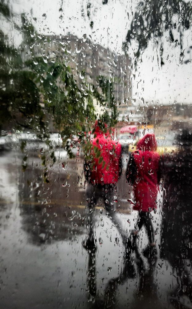 Фотография автора Nedai Eftekhari